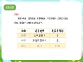 大象版（2017）科学四下 3.1《影子的形成》课件+教案