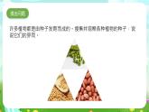 大象版（2017）科學(xué)三下 3.2《播下希望的種子》課件+教案