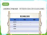 大象版（2017）科學(xué)三下 3.2《播下希望的種子》課件+教案