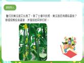 大象版（2017）科學(xué)三下 3.3《茁壯成長》課件+教案