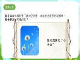 大象版（2017）科學(xué)三下 3.5《碩果累累》課件+教案