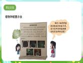 大象版（2017）科學(xué)三下 3.6《植物種植展示會(huì)》課件+教案