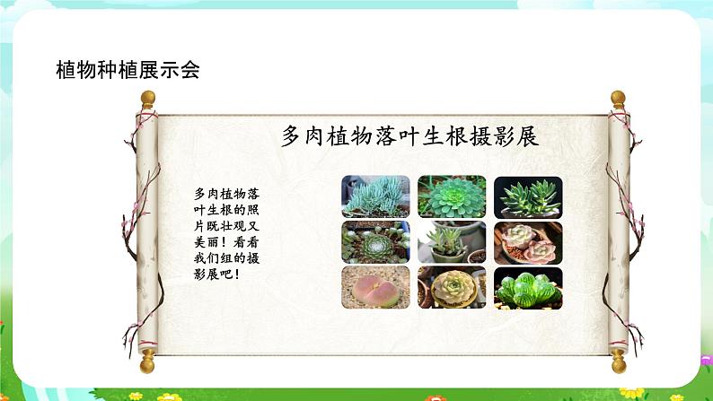 大象版（2017）科学三下 3.6《植物种植展示会》课件第5页