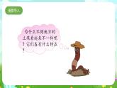 大象版（2017）科學(xué)三下 4.3《不一樣的土壤》課件+教案