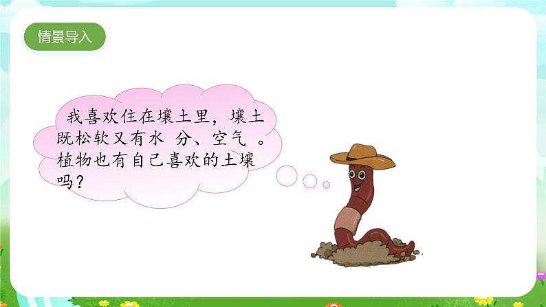 大象版（2017）科学三下 4.4《土壤与植物》课件第2页