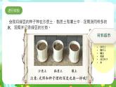 大象版（2017）科學(xué)三下 4.4《土壤與植物》課件+教案