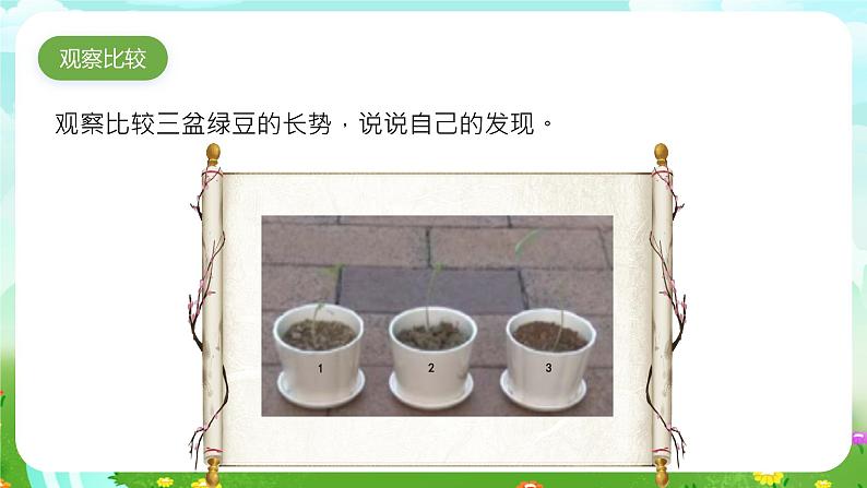 大象版（2017）科学三下 4.4《土壤与植物》课件第5页