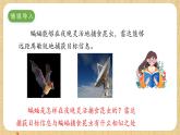 冀人版（2017）科學(xué)六下 第7課《蝙蝠與雷達(dá)》課件+教案