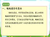 冀人版（2017）科學(xué)六下 第7課《蝙蝠與雷達(dá)》課件+教案