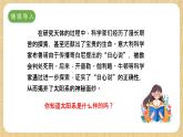 冀人版（2017）科學(xué)六下 第11課《太陽(yáng)系》課件+教案