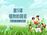冀人版（2017）科学四下 第5课《植物的器官》课件+教案
