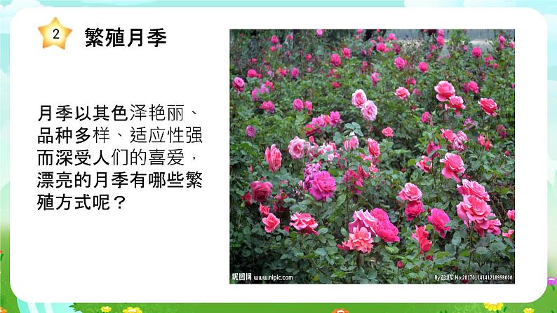 冀人版（2017）科学四下 第6课《植物的繁殖》课件第6页