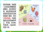 冀人版（2017）科學(xué)四下 第16課《傳染病的預(yù)防》課件+教案