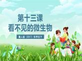 冀人版（2017）科学五下 第13课《看不见的微生物》课件+教案