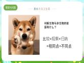 冀人版（2017）科學(xué)三下 第1課《生物與非生物》課件+教案+素材