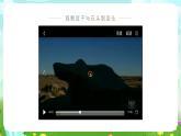 冀人版（2017）科學(xué)三下 第1課《生物與非生物》課件+教案+素材