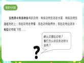 冀人版（2017）科學(xué)三下 第4課《種類繁多的動物》課件+教案+素材
