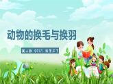 冀人版（2017）科学三下 第8课《动物的换毛与换羽》课件+教案