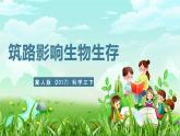 冀人版（2017）科學(xué)三下 第13課《筑路影響生物生存》課件+教案