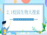 【核心素养】教科版科学六年级下册 2.1《校园生物大搜索》课件+教案+素材