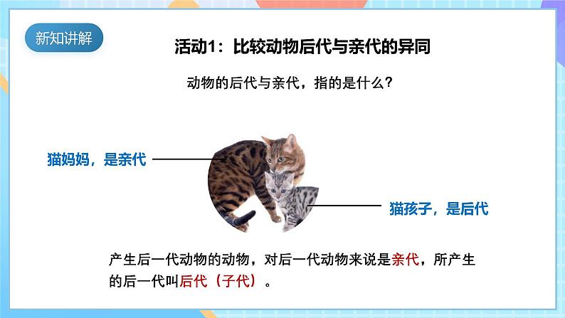 【核心素养】教科版科学六年级下册 2.4《多种多样的动物》课件第8页