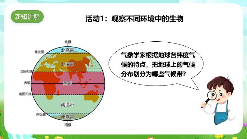 苏教版（2017）科学六下 2.5《多样的栖息地》课件第4页