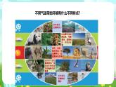 蘇教版（2017）科學(xué)六下 2.5《多樣的棲息地》課件+教案