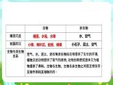 蘇教版（2017）科學(xué)六下 2.7《做個(gè)生態(tài)瓶》課件+教案