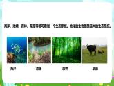 蘇教版（2017）科學(xué)六下 2.7《做個(gè)生態(tài)瓶》課件+教案