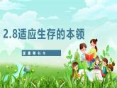 蘇教版（2017）科學(xué)六下 2.8《適應(yīng)生存的本領(lǐng)》課件+教案