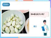 【核心素养】教科版科学四年级下册 1.1《种子里孕育着新生命》课件+教案+素材
