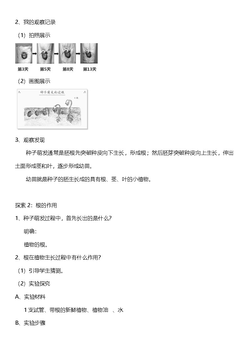 【核心素养】教科版科学四年级下册 1.3《种子长出了根》教案第2页