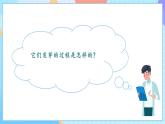 【核心素養(yǎng)】教科版科學四年級下冊 1.3《種子長出了根》課件+教案+素材
