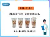 【核心素養(yǎng)】教科版科學四年級下冊 1.3《種子長出了根》課件+教案+素材