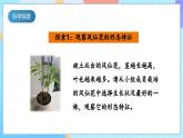 【核心素養(yǎng)】教科版科學四年級下冊 1.4《莖和葉》課件+教案+素材