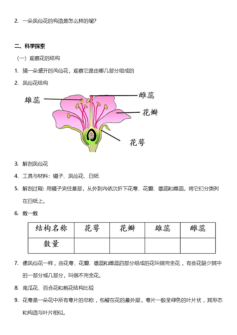 【核心素养】教科版科学四年级下册 1.5《凤仙花开花了》教案第2页