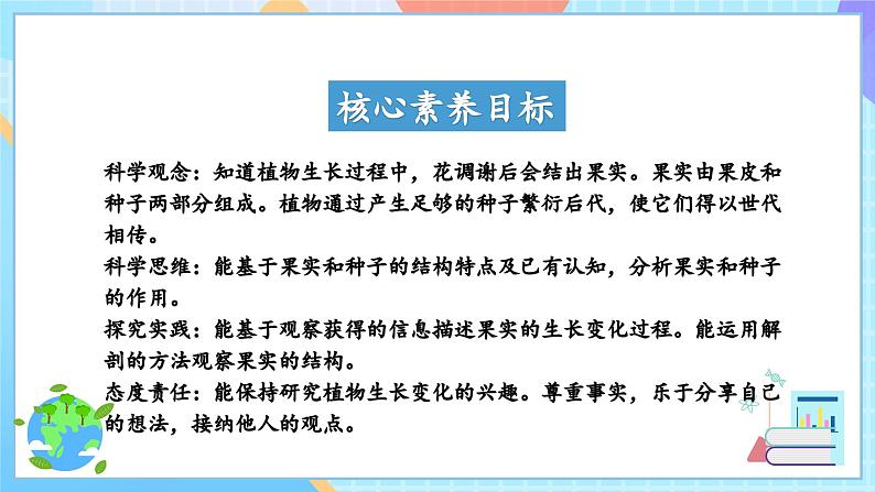 【核心素养】教科版科学四年级下册 1.6《果实和种子》课件第2页