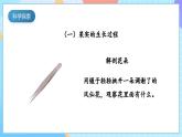 【核心素养】教科版科学四年级下册 1.6《果实和种子》课件+教案+素材