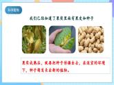 【核心素养】教科版科学四年级下册 1.7《种子的传播》课件+教案+素材