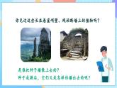 【核心素养】教科版科学四年级下册 1.7《种子的传播》课件+教案+素材