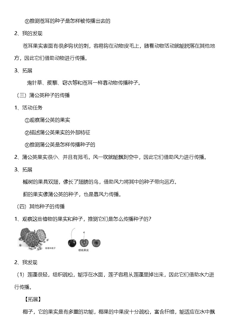 【核心素养】教科版科学四年级下册 1.7《种子的传播》教案第3页