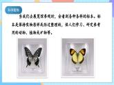 【核心素养】教科版科学四年级下册 3.4《制作岩石和矿物标本》课件+教案+素材