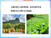 【核心素养】教科版科学四年级下册 3.6《观察土壤》课件+教案+素材