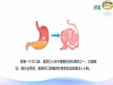 小学科学大象版四年级上册5.4蜿蜒的旅行 课件+教案