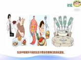 小学科学大象版四年级上册5.5保护消化器官 课件+教案