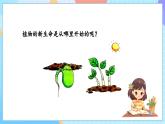【核心素養(yǎng)】教科版科學(xué)五年級(jí)下冊(cè) 1.1《種子發(fā)芽實(shí)驗(yàn)》課件+教案+素材