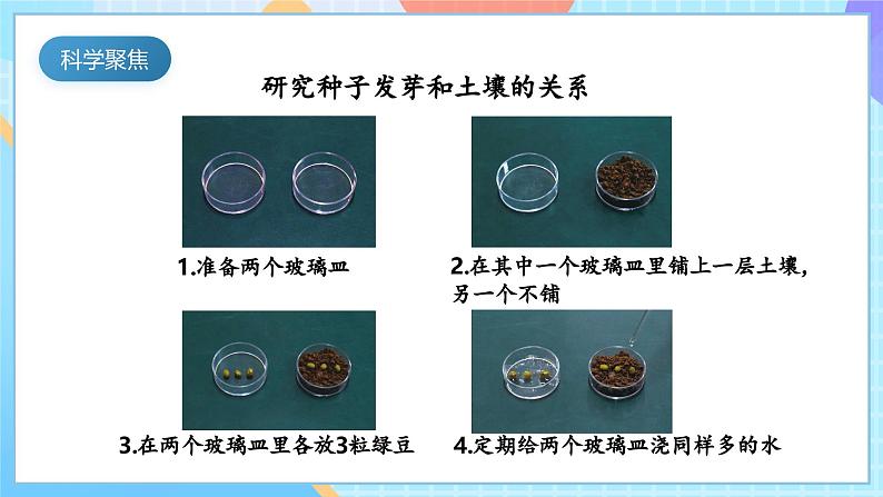 【核心素养】教科版科学五年级下册 1.2《比较种子发芽实验》课件第3页