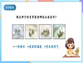 【核心素养】教科版科学五年级下册 1.3《绿豆苗的生长》课件+教案+素材