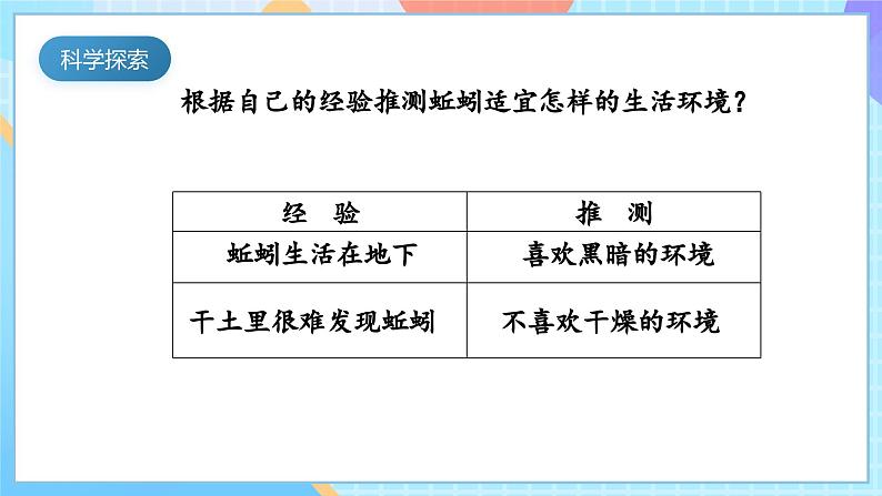 【核心素养】教科版科学五年级下册 1.4《蚯蚓的选择》课件第6页