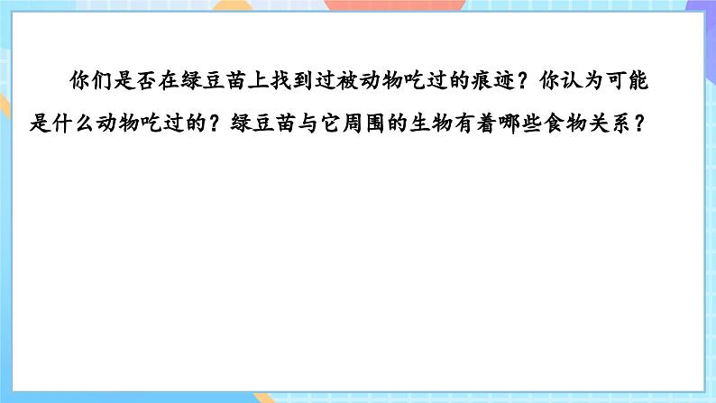 【核心素养】教科版科学五年级下册 1.6《食物链和食物网》课件第5页